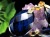 アンバー 琥珀 ペンダントトップ リトアニアアンバー バルト海産