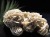 デザートローズ セレナイトローズ 砂漠の薔薇 ジプサムローズ メキシコ産