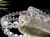 まりも水晶 ブレスレット ホ-ランダイト 星入り水晶 天然石