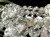 ガーデンクォーツ 庭園水晶 ブレスレット ファントム ガーデンファントム