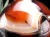 天然石インテリア 置物 天然石丸玉 アゲート