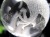 五本爪 龍彫り 水晶 丸玉 開運大吉