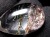 ガーデンクォーツ ペンダントトップ 庭園水晶 クローライト 天然石
