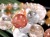 サゲニティッククォーツ ブレスレット キャッツアイ ルチルクォーツ ラビットヘア