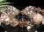 ルチルクォーツ ブレスレット MIXルチル 金紅石入り水晶 ルチレイテッドクォーツ