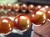 オーラライト23 ブレスレット パワーストーン 天然石