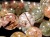 ルチルクォーツ ブレスレット MIXルチル 金紅石入り水晶 ルチレイテッドクォーツ