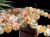 ルチルクォーツ ブレスレット MIXルチル 金紅石入り水晶 ルチレイテッドクォーツ