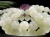 和田玉 ネフライト 翡翠 軟玉 ブレスレット
