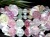 マルチカラーフローライト 蛍石 摩尼車彫刻 ブレスレット チベット密教法具
