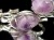 シルバーアクセサリー シルバージュエリー バングルブレスレット パワーストーン 天然石
