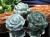 翡翠 ジェイド 薔薇 バラの花 彫刻 グアテマラ