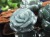翡翠 ジェイド 薔薇 バラの花 彫刻 グアテマラ