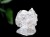 フェナカイト 結晶 原石 フェナサイト ロシア産