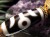 法具 天珠 ネックレス プルパ 金剛杭