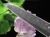 ヘマタイトオンクォーツ 赤鉄鉱共生水晶 ヘマタイト 原石 ポイント
