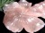 ローズクォーツ 紅石英 桜 さくら 国花