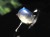 シルバーリング Silver925 天然石 パワーストーン アクセサリー