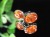 天然石 ピアス アクセサリー Silver925