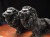 シュンガイト置物