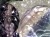 フローライト 蛍石 タンブル カービング 彫刻