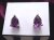 ピアス