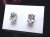 ピアス