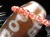 天珠 置物 オブジェ アゲート インテリア