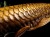 アロワナ 置物 タイガーアイ 龍魚 彫刻