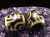 天珠 ジー てんじゅ チベット お守り