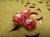 TONBO-A28-3.JPG