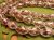 TONBO-A43-3.JPG