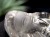 水晶 クォーツ 縁起物 置物 大黒天