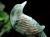 縁起物 夫婦鳥 翡翠 ジェダイト 硬玉 彫刻 置物