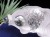 金魚 水晶 デメキン マイカ 彫刻置物