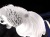 金魚 水晶 デメキン マイカ 彫刻置物