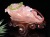 文昌筆 文昌帝君 ローズクォーツ 文昌神 彫刻 風水.学業 薔薇