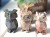 ジャスパー アニマル置物 動物置物 インテリア 彫刻置物
