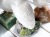 鳥 置物 オウム フクロウ イーグル 風水