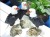 鳥 置物 オウム フクロウ イーグル 風水