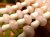 mushroom-2.JPG