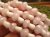 mushroom-4.JPG