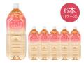 たまねぎエキスの水2L×6本入り　(スポット)　【1ケース単位注文】　※他商品同送不可　　【軽減税率対象商品】　