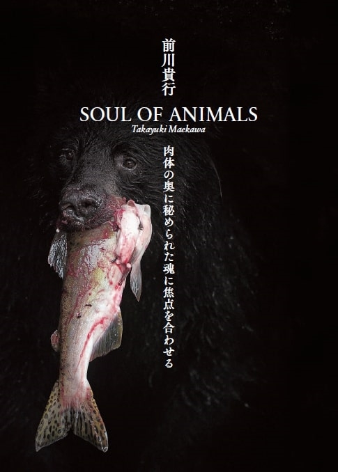 SOUL OF ANIMALS