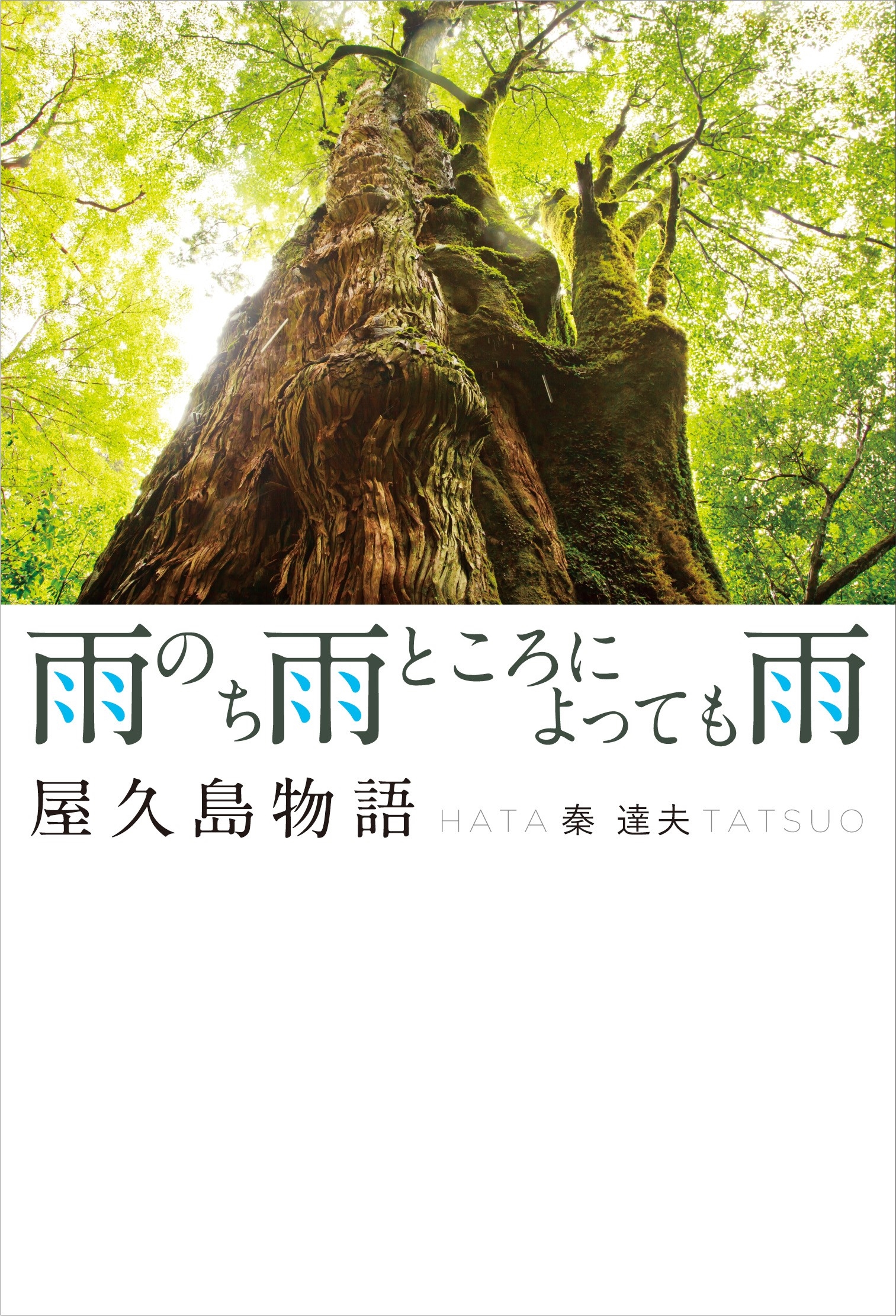 雨のち雨ところによっても雨　屋久島物語
