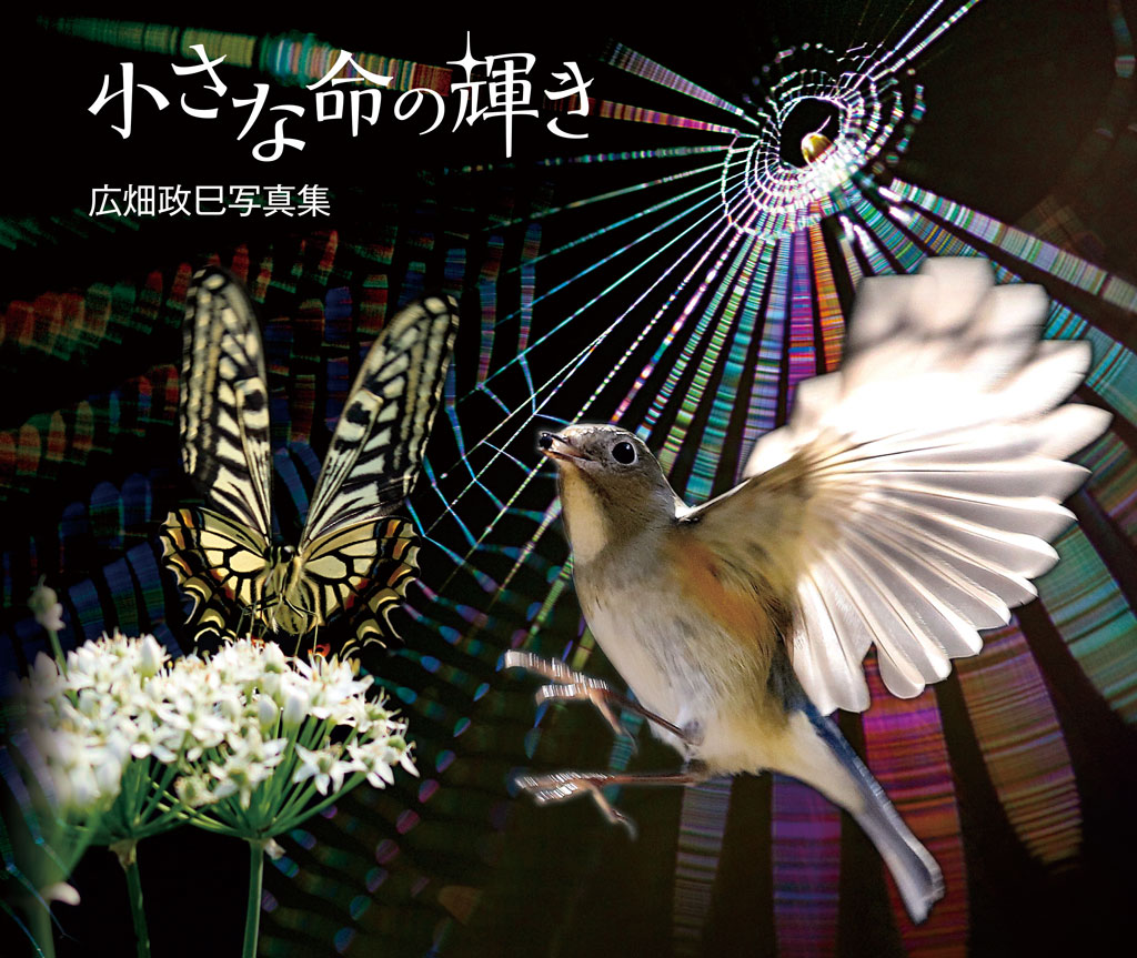 小さな命の輝き