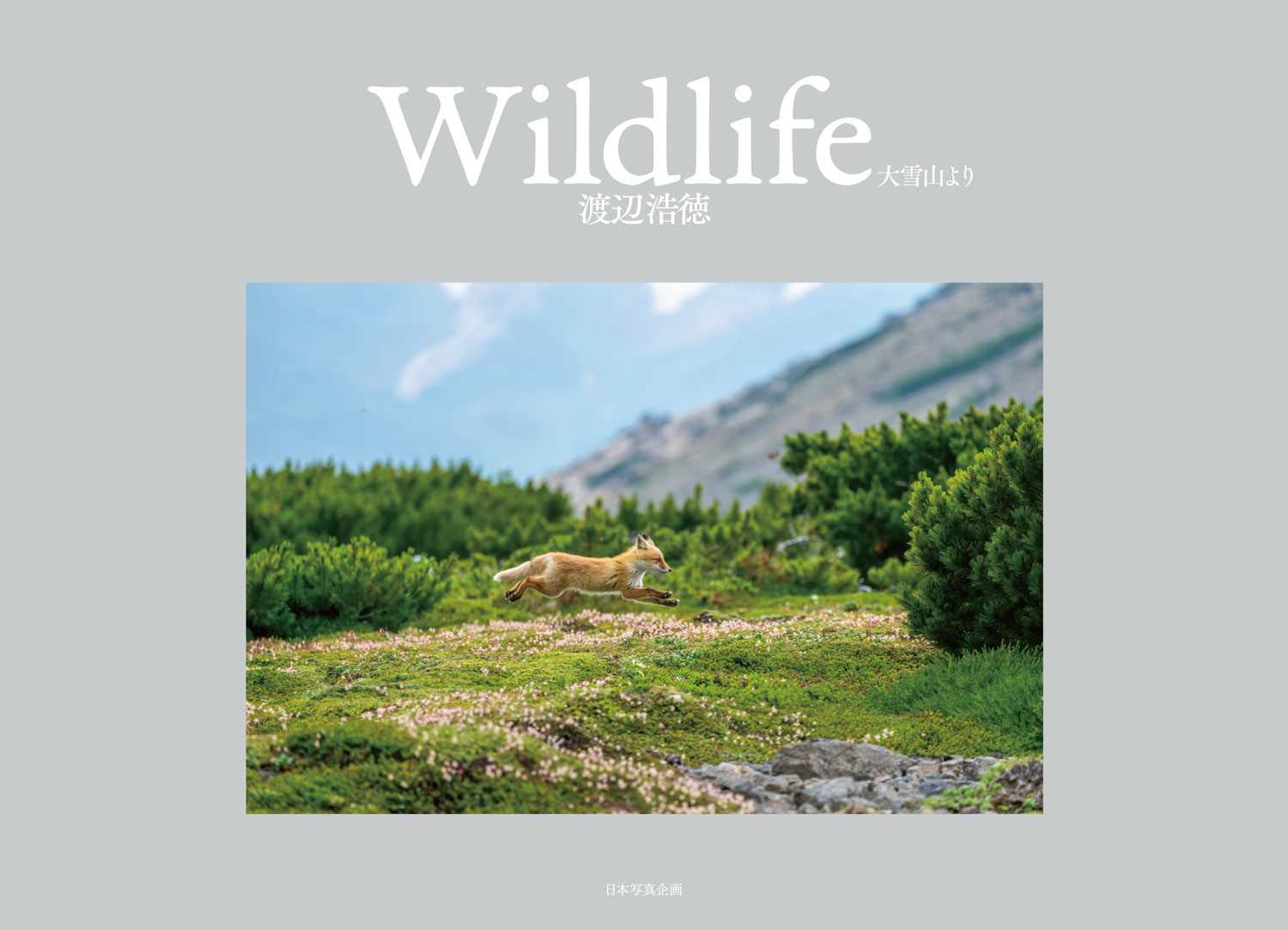 Wildlife　大雪山より