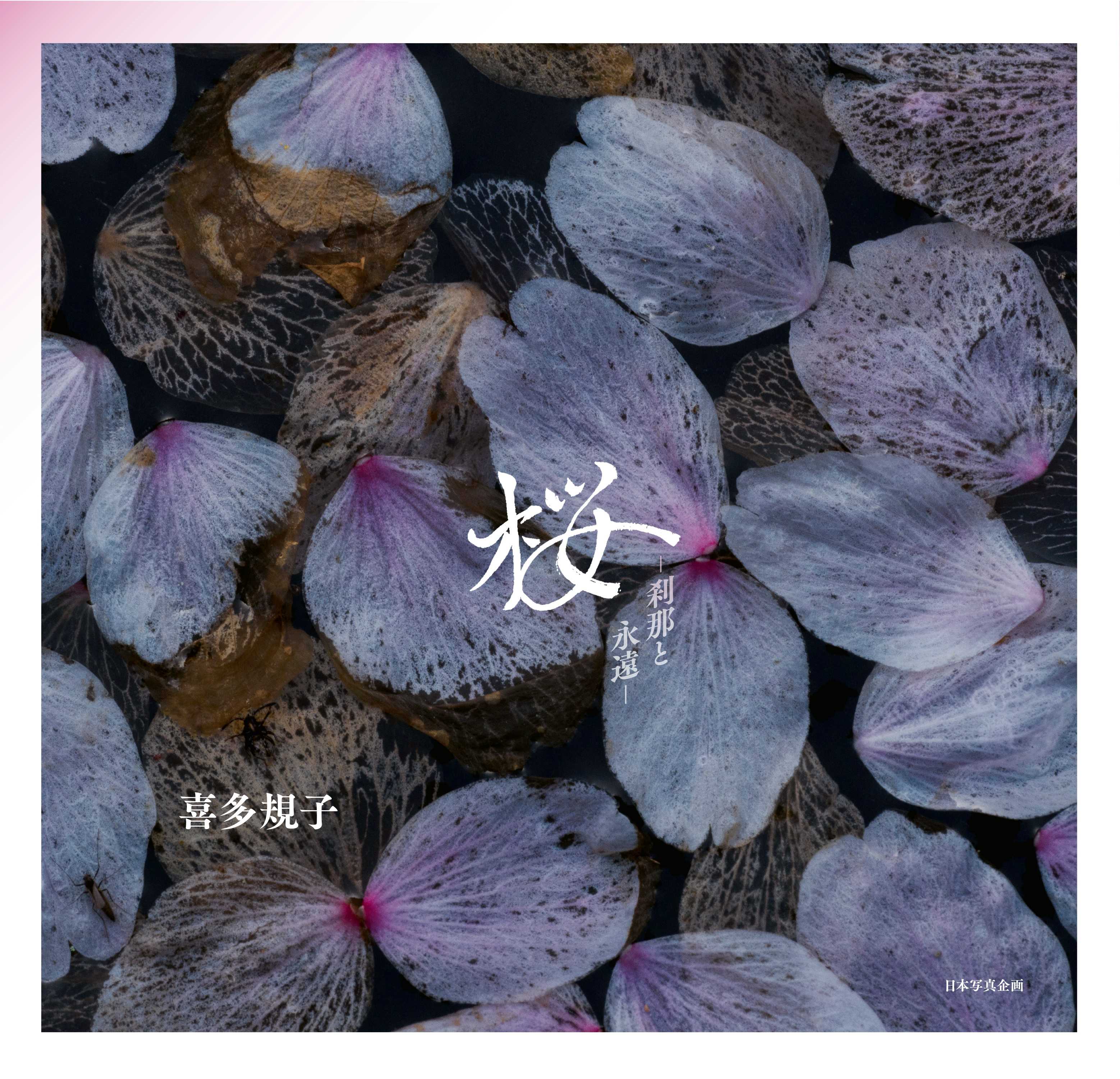 桜　～刹那と永遠～