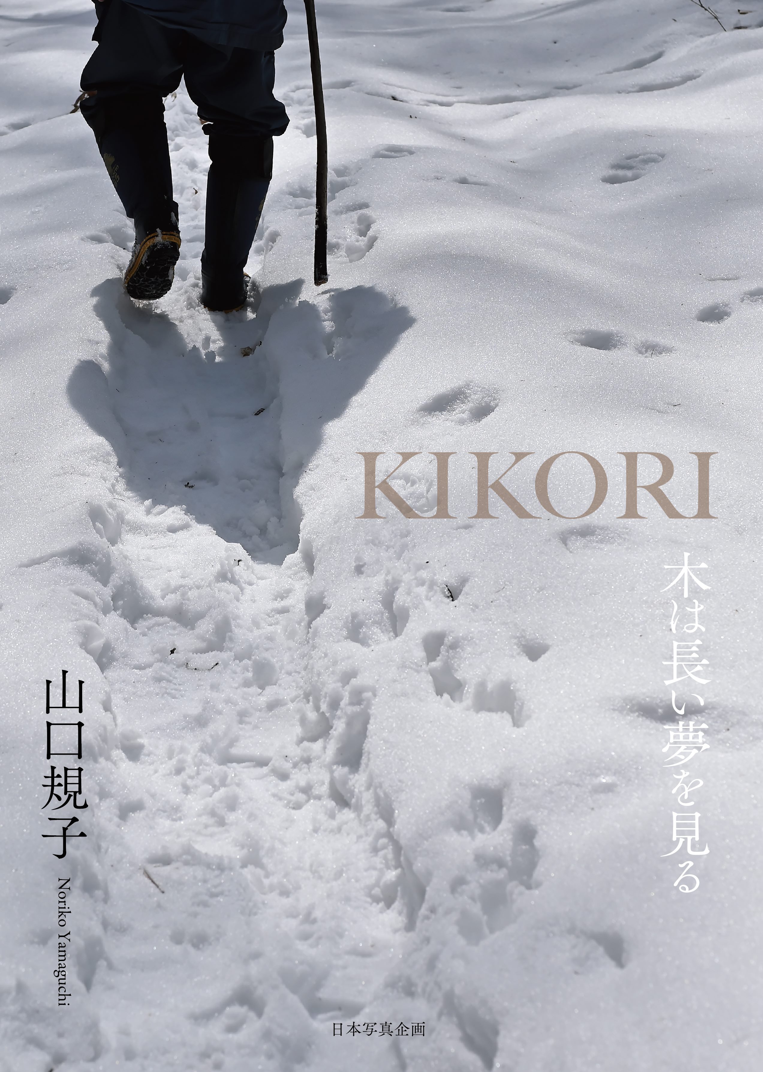 KIKORI　木は長い夢を見る