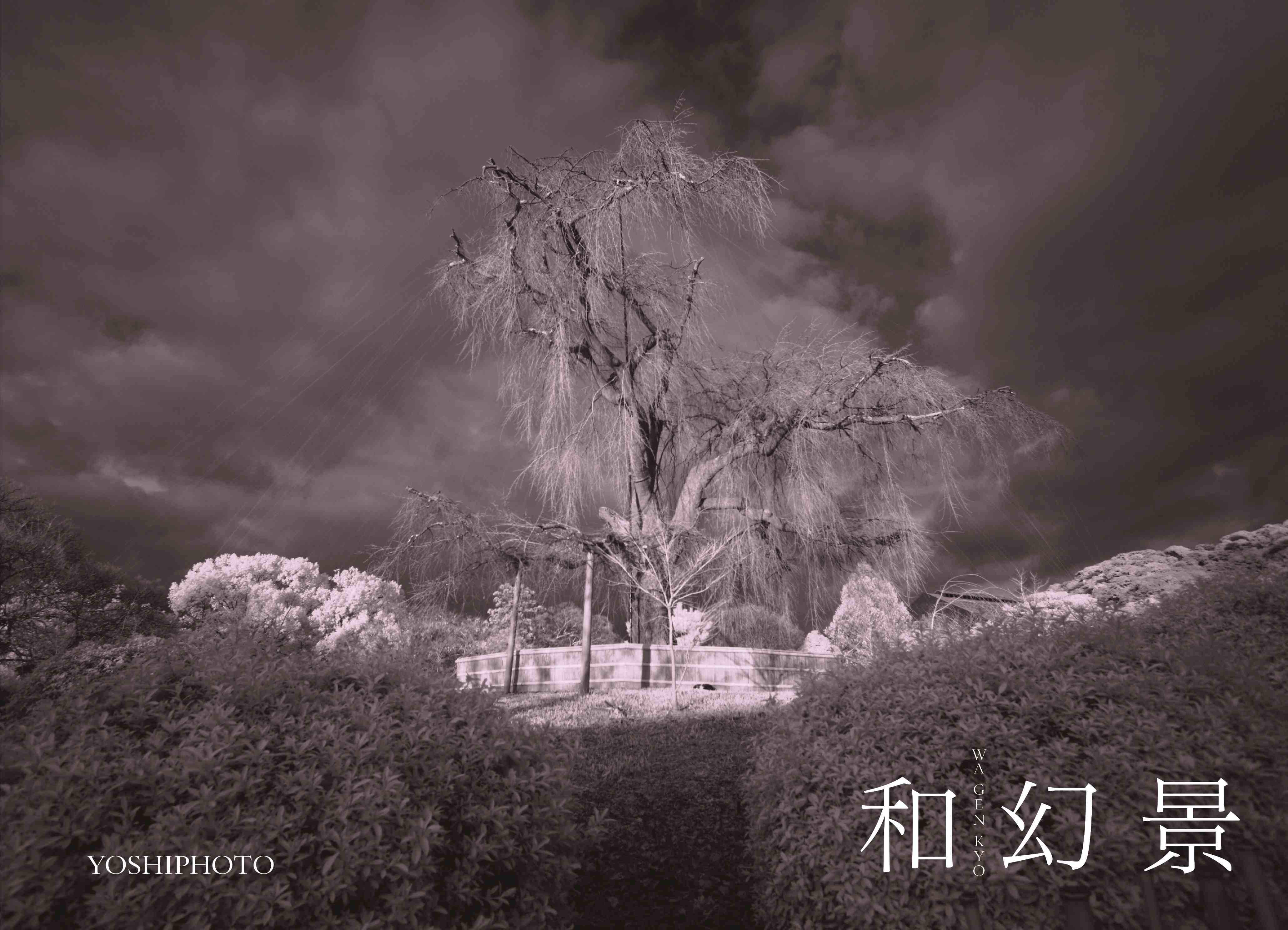 和幻景